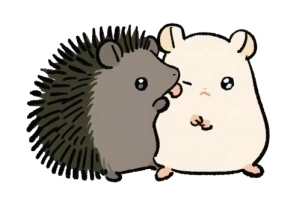 상단 이미지