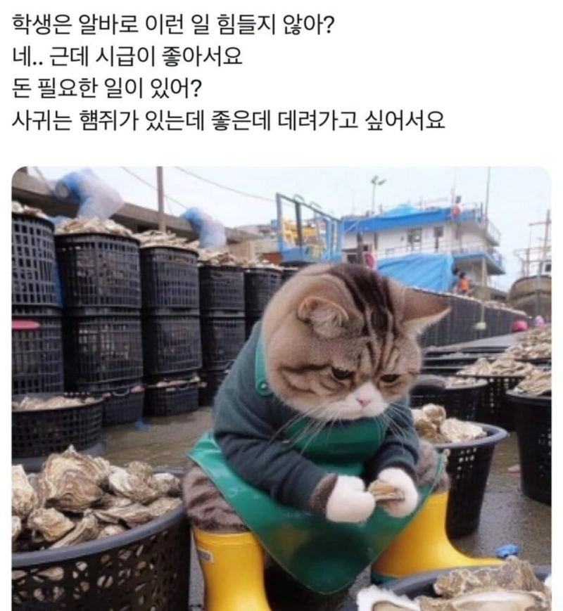 1000054578.jpg